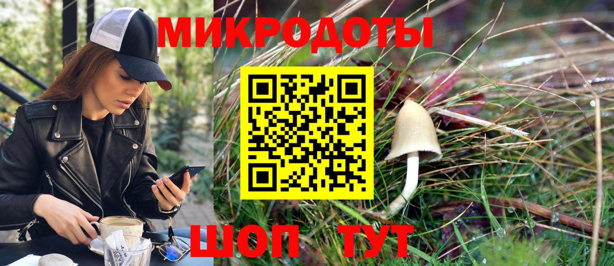 Карачаевск  Псилоцибиновые грибы Psilocybine cubensis  Псилоцибиновые грибы MAGIC MUSHROOMS  Вход с VPN 