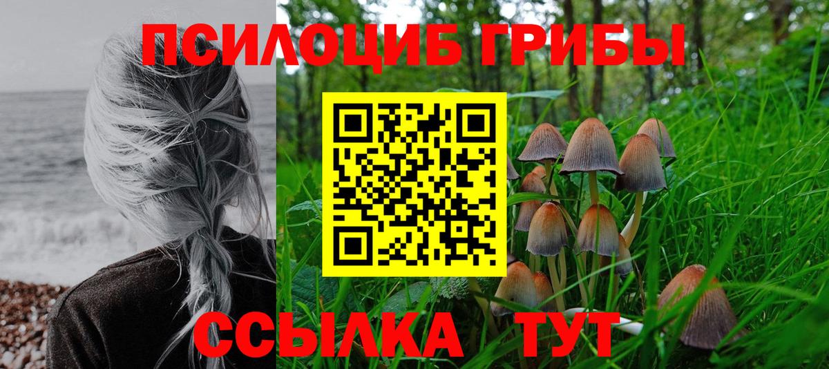 Галлюциногенные грибы Magic Shrooms Карачаевск